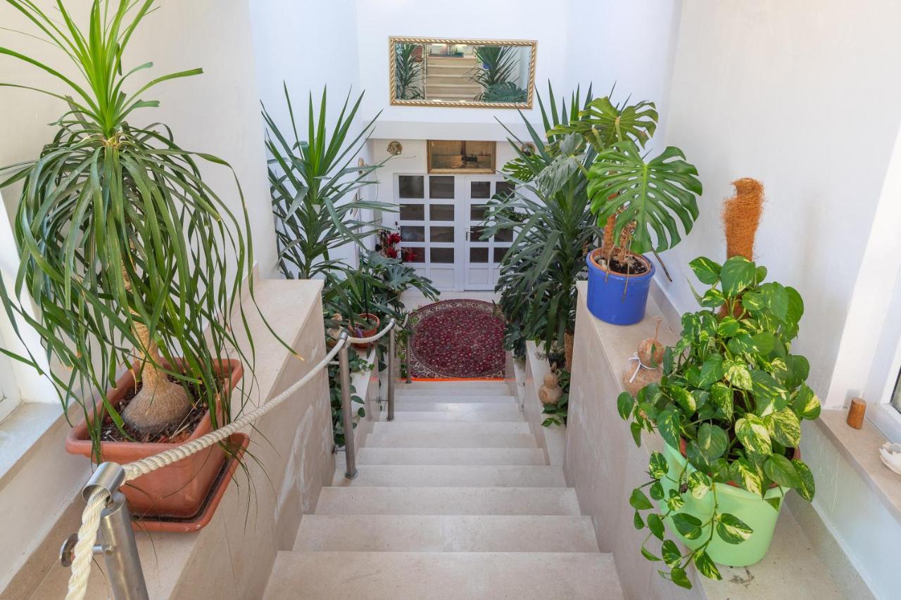 Germania Rooms & Apartments Celina Bagian luar foto